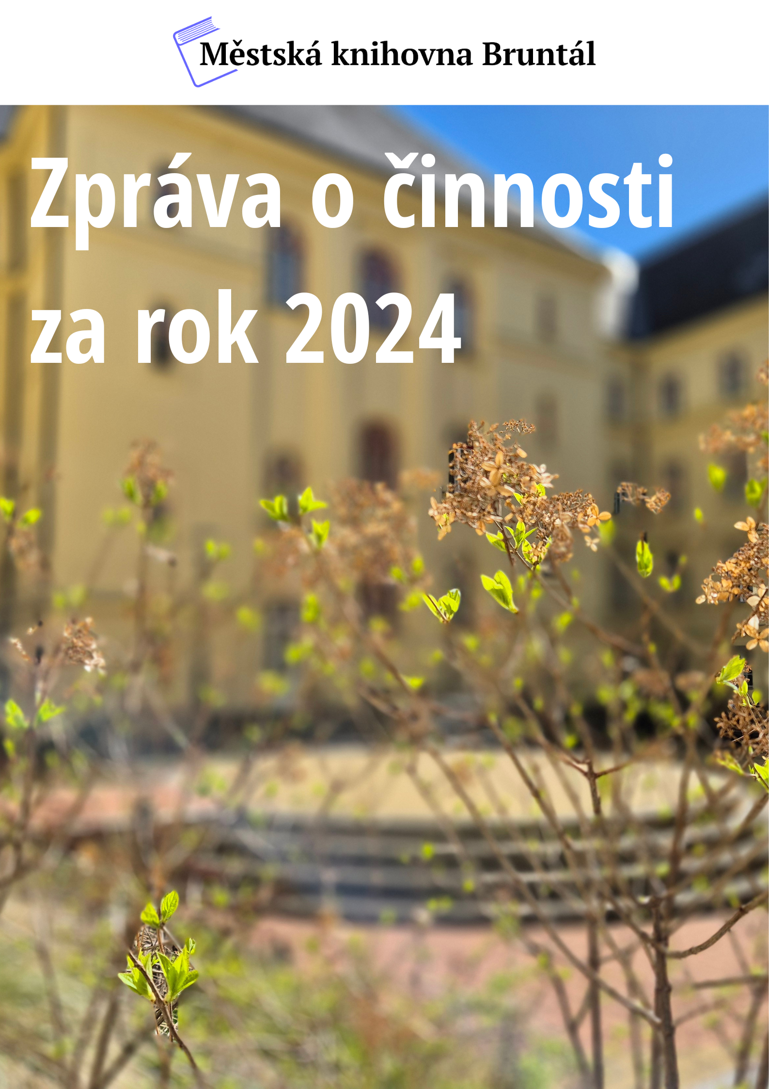 Zpráva o činnosti za rok 2024