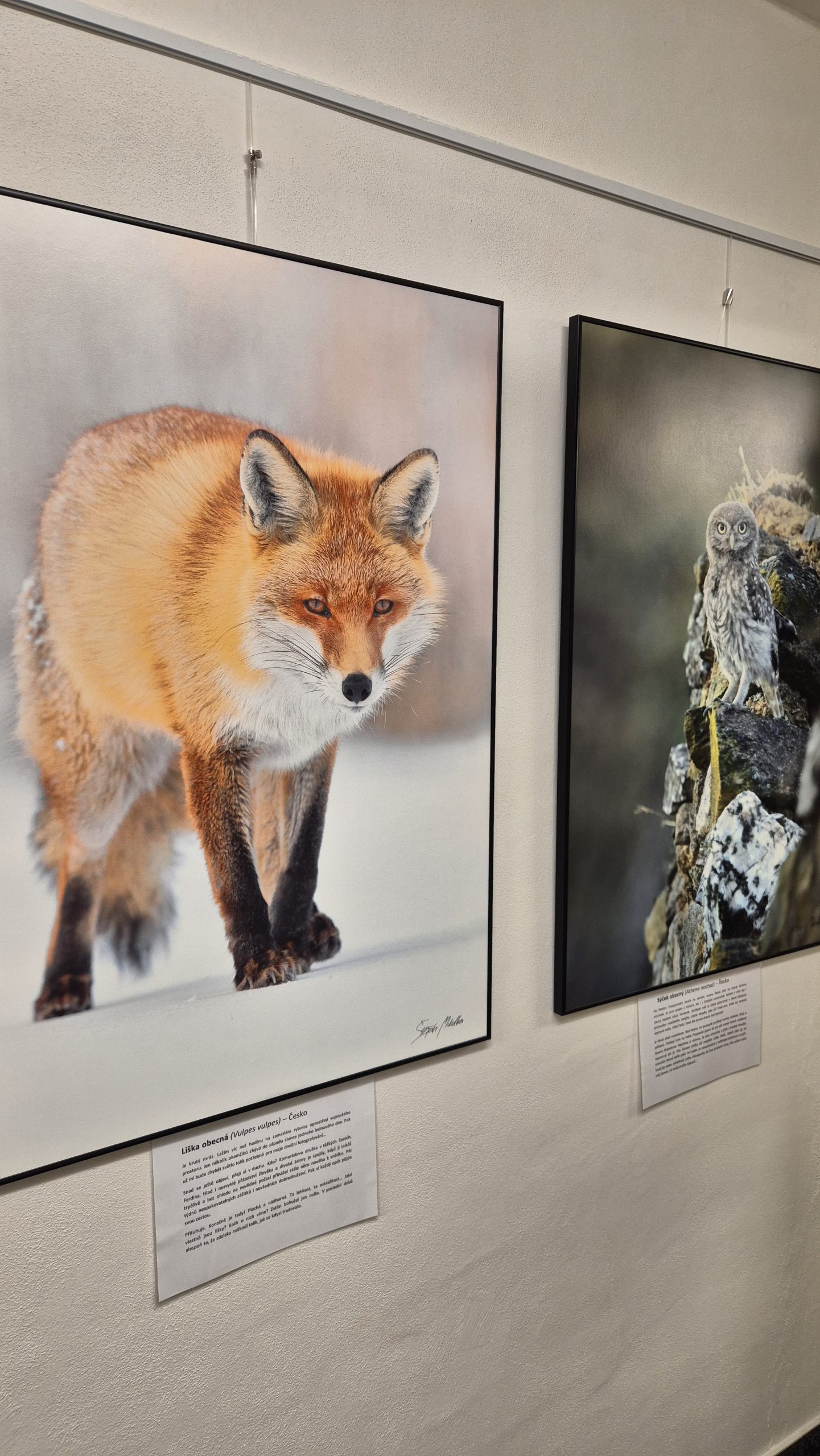 Srdečně zveme na slavnostní křest knihy Štěpána Mikulky
