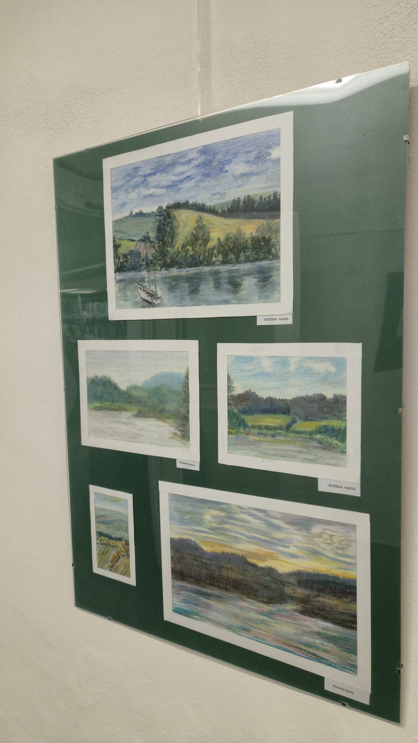 Výstava Elišky Svobodové zahájena