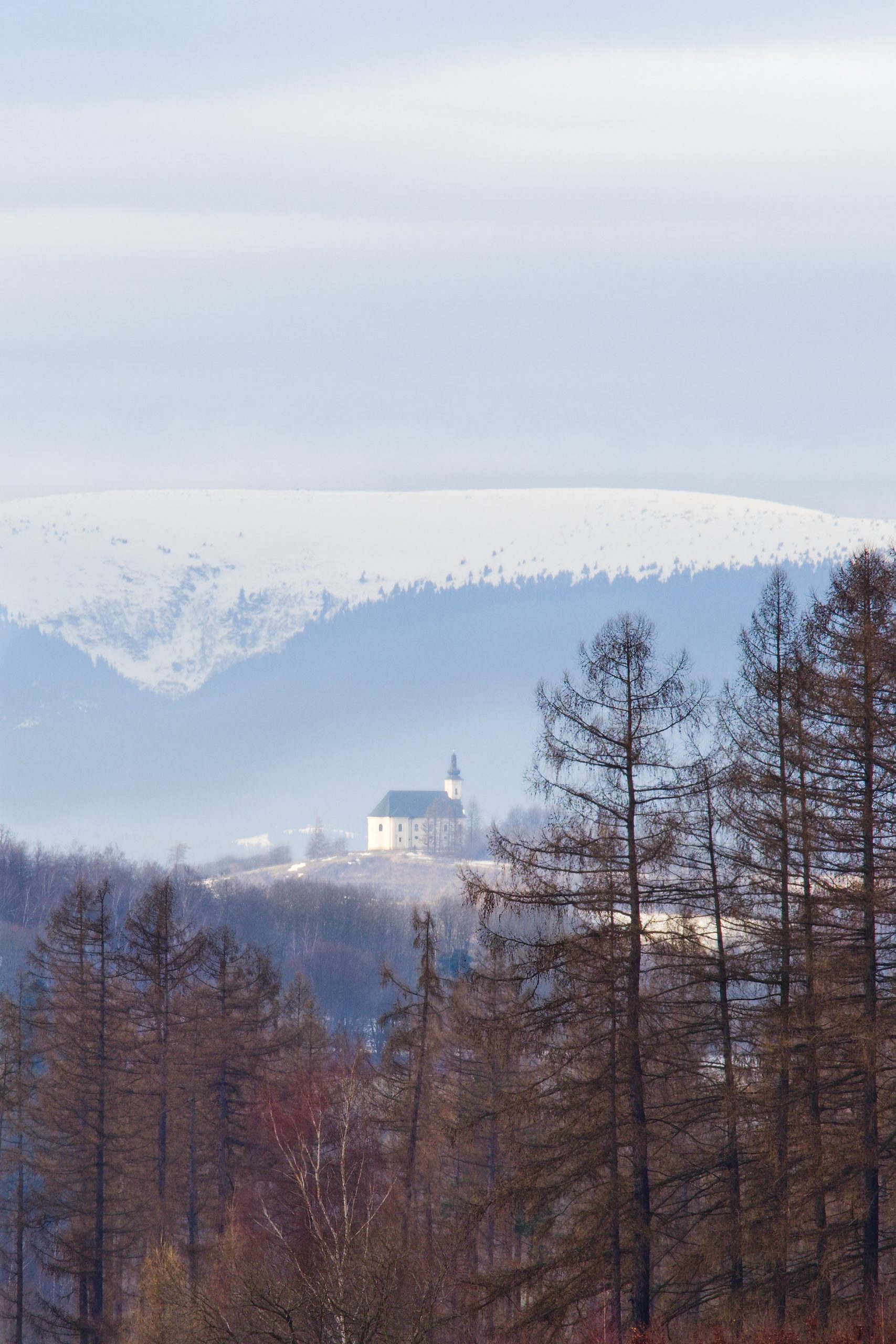 Zveme na výstavu Jiřího Šebesty
